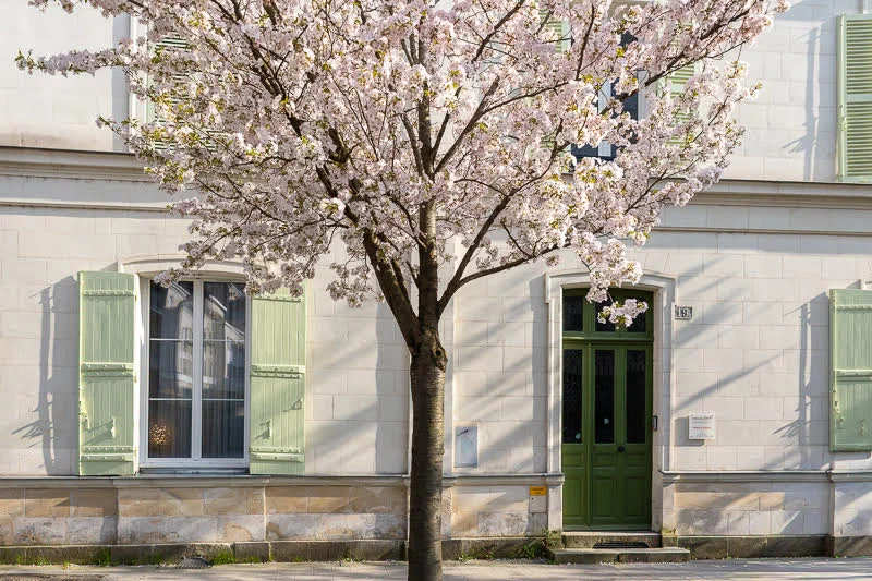 La façade du centre Traditions du Bien-être, rue Thiers à Angers